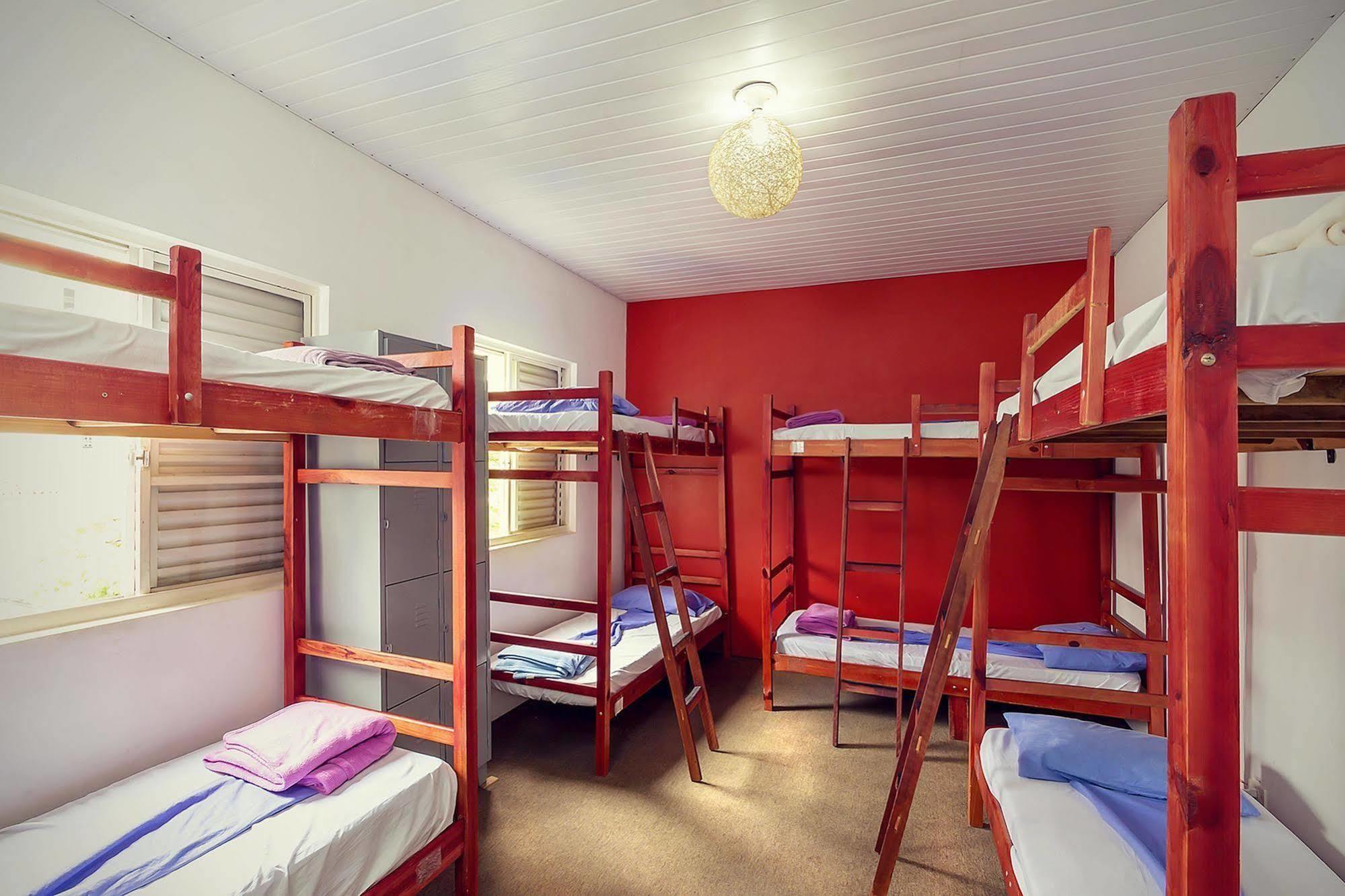 The Connection Hostel São Paulo Extérieur photo